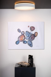 Потолочный светильник LUCIDE NURIA 79182/24/31