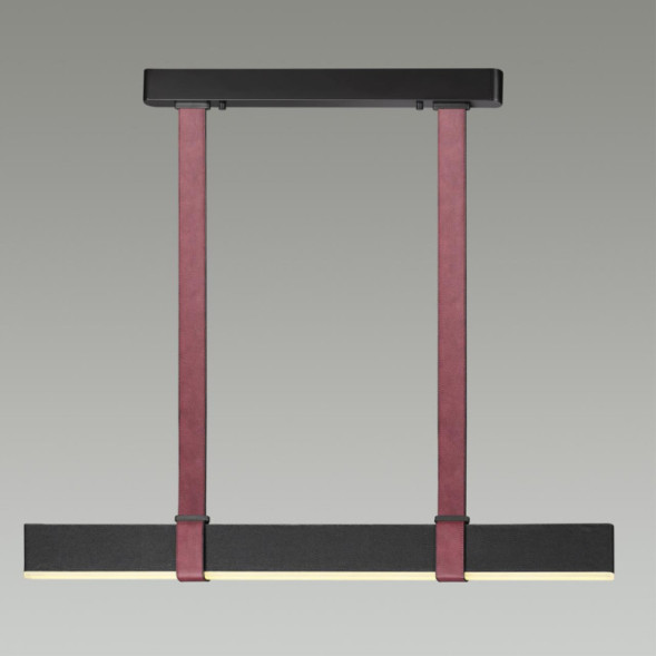 Подвесной светильник Odeon Light VINCENT 6629/25L