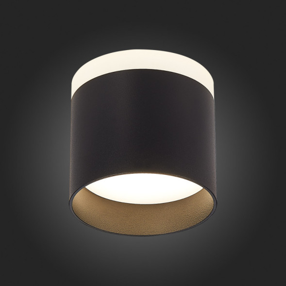 Накладной точечный светильник ST-Luce PANAGGIO ST102.442.09