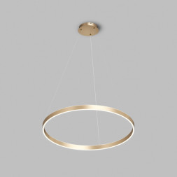 Подвесной светильник DK6272-SG Denkirs RAYDIA