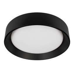 Потолочный светильник 10202 BB LOFT IT Coin