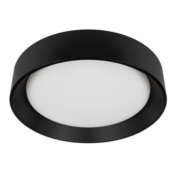 Потолочный светильник 10202 BB LOFT IT Coin