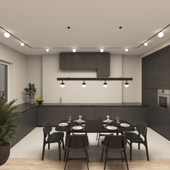 Светодиодный трековый светильник Denkirs SMART MOON DK8050-BK