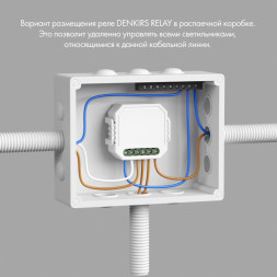 Wi-Fi реле Denkirs RL1003-DM/1 Relay