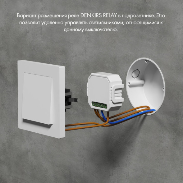 Wi-Fi реле Denkirs RL1003-DM/1 Relay