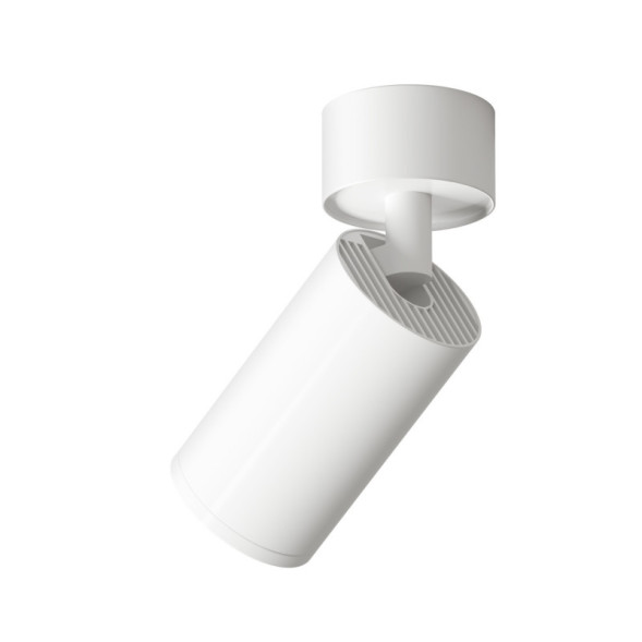 Накладной точечный светильник Denkirs TUBE DK2029-WH