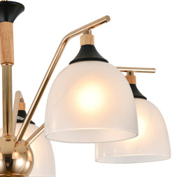 Подвесная люстра Escada 2123/5P ACTINIDIA