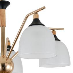 Подвесная люстра Escada 2123/5P ACTINIDIA