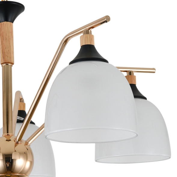 Подвесная люстра Escada 2123/5P ACTINIDIA