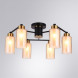 Потолочная люстра ARTE Lamp LEO A7027PL-6BK