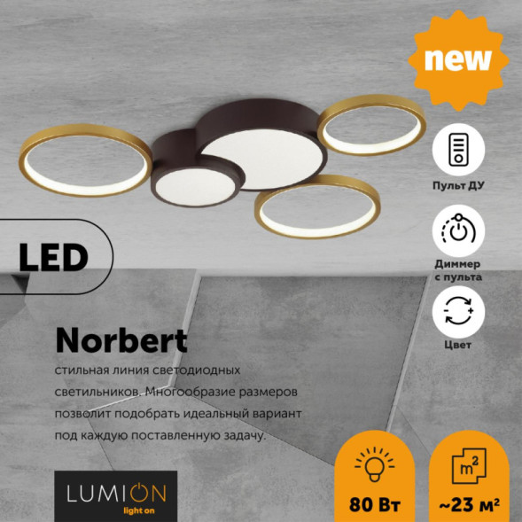 Потолочный светильник LUMION NORBERT 5255/80CL