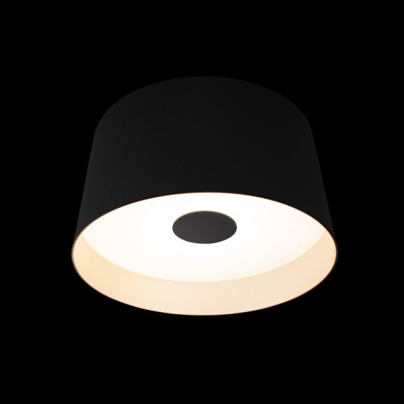 Потолочный светильник LOFT IT 10360S Black DUO