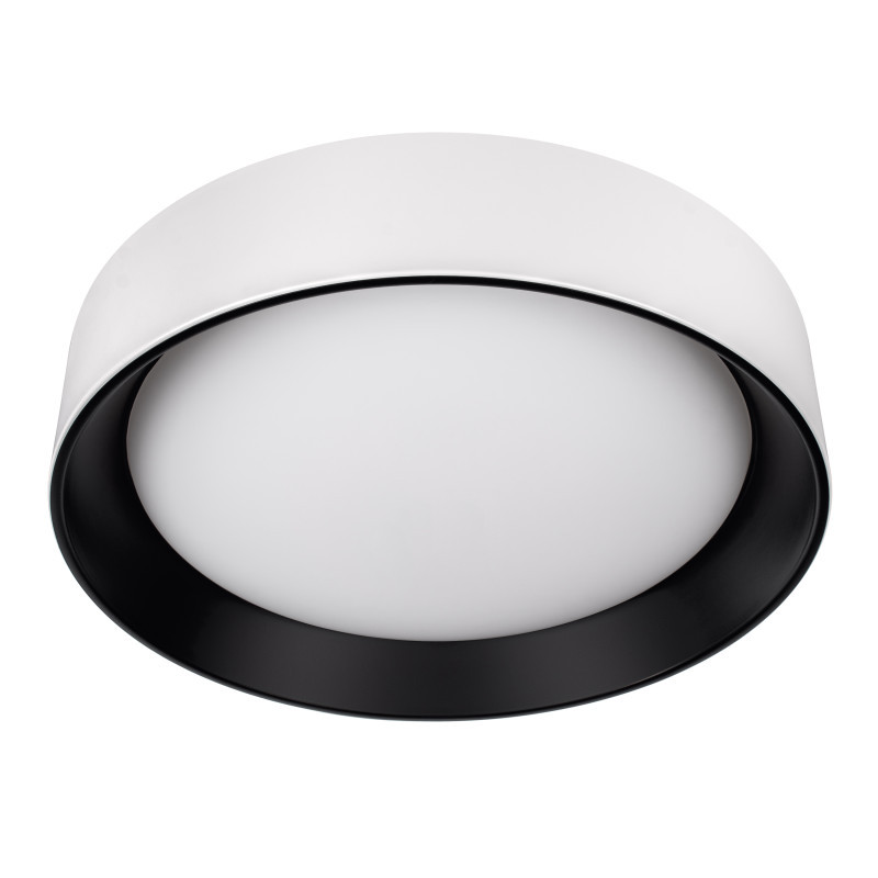 Потолочный светильник 10202 WB LOFT IT Coin