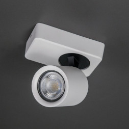 Спот Citilux Норман CL533510