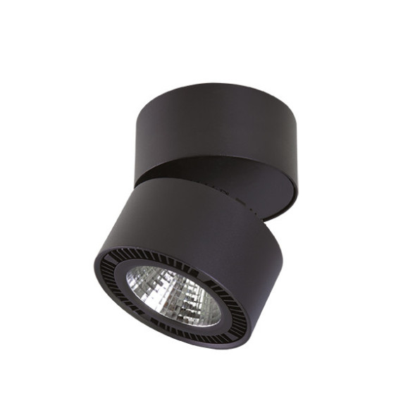 Накладной точечный светильник Lightstar FORTE MURO 213817