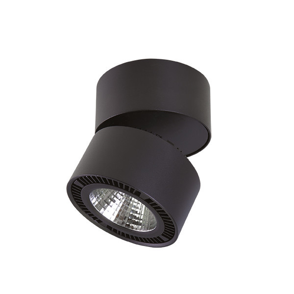 Накладной точечный светильник Lightstar FORTE MURO 213817
