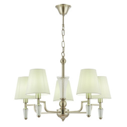 Подвесная люстра Evoluce SLE105503-05 REIMO