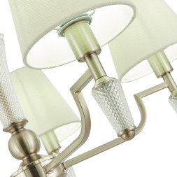 Подвесная люстра Evoluce SLE105503-05 REIMO