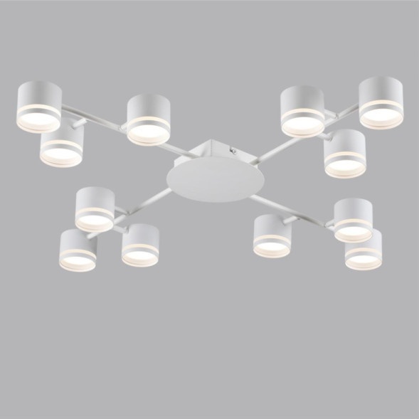 Потолочная люстра LUMION GARETA 8235/12C