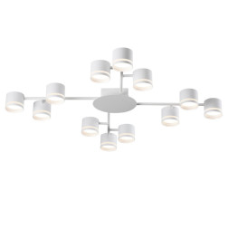 Потолочная люстра LUMION GARETA 8235/12C
