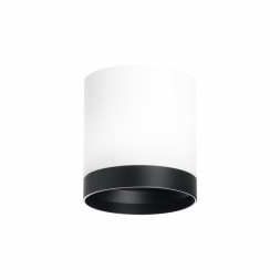 Накладной точечный светильник Lightstar RULLO R34863487