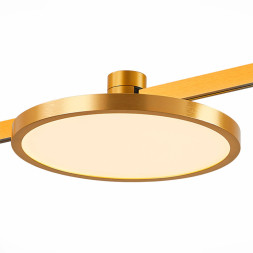 Магнитный трековый светильник ST-Luce ST818.246.12 FARM