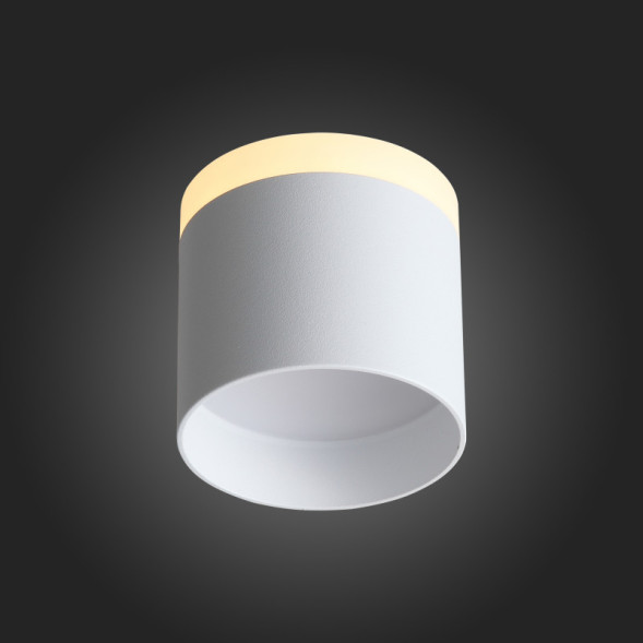 Накладной точечный светильник ST-Luce PANAGGIO ST102.502.09