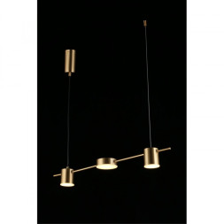 Подвесной светильник APLOYT APL.017.13.18 FRANIA