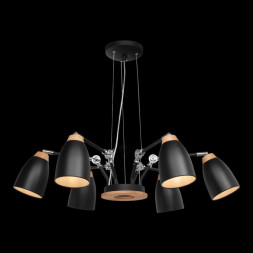 Подвесная люстра LOFT IT Watchman LOFT4402/6BL