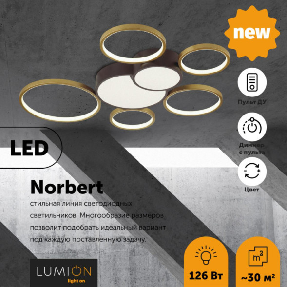 Потолочный светильник LUMION NORBERT 5256/99CL