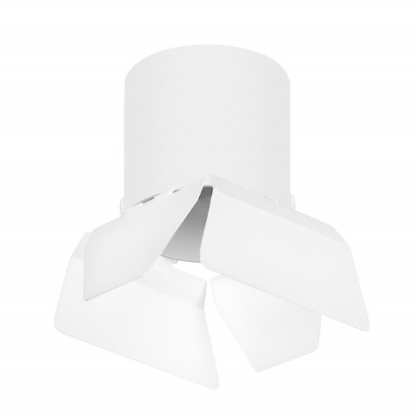 Накладной точечный светильник Lightstar RULLO R3486486