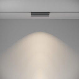 Магнитный трековый светильник Maytoni Technical Basis Rot TR075-2-20W4K-B