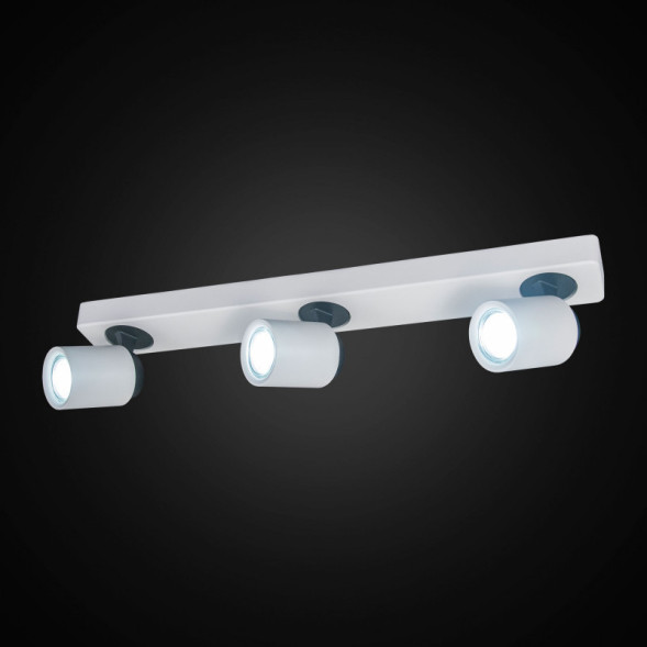 Спот Citilux Норман CL533530