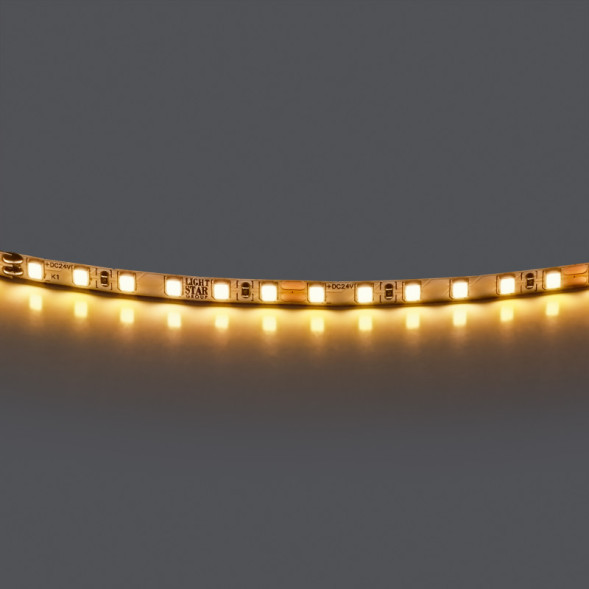 Светодиодная лента Lightstar Lightstar 420543-02