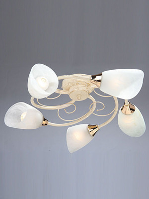 Потолочная люстра Vitaluce V3663 V3663/5PL