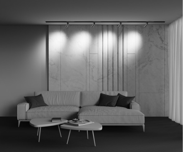 Светодиодный трековый светильник Maytoni Technical FOCUS LED TR021-1-12W3K-W-BBS