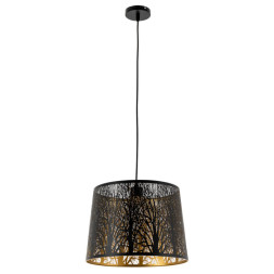 Подвесная люстра ARTE Lamp CELESTA A2769SP-1BK