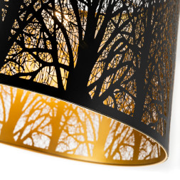 Подвесная люстра ARTE Lamp CELESTA A2769SP-1BK