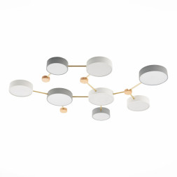 Потолочный светильник Evoluce SLE600102-08 DOSSENA