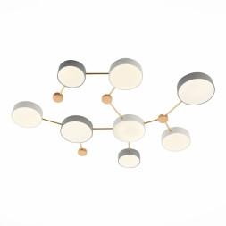 Потолочный светильник Evoluce SLE600102-08 DOSSENA