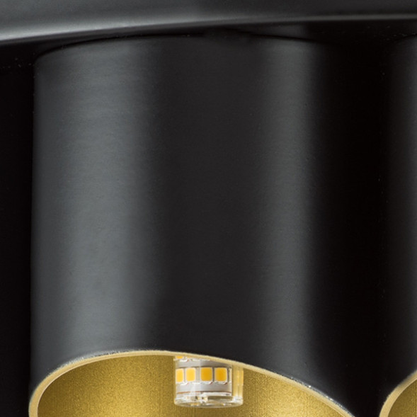 Потолочная люстра Lightstar SIENA 720227