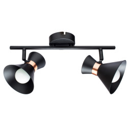 Спот ARTE Lamp Baltimore A1406AP-2BK