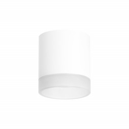 Накладной точечный светильник Lightstar RULLO R348680