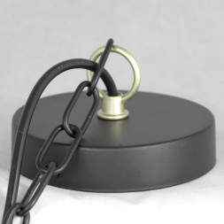 Подвесная люстра Lussole ROOSEVELT LSP-8198