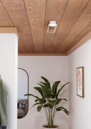 Потолочный светильник 902152 EGLO COLLECORVINO