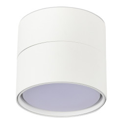 Накладной точечный светильник ST-Luce ST651.502.01