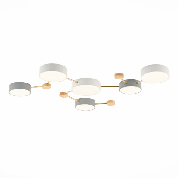 Потолочный светильник Evoluce SLE600102-06 DOSSENA