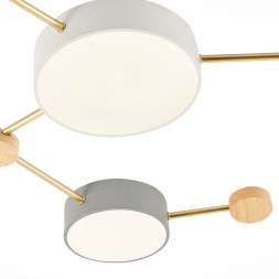 Потолочный светильник Evoluce SLE600102-06 DOSSENA