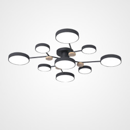 Потолочная люстра ImperiumLoft 223769-23