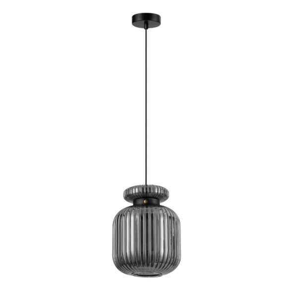 Подвесной светильник Odeon Light PENDANT 5042/1B